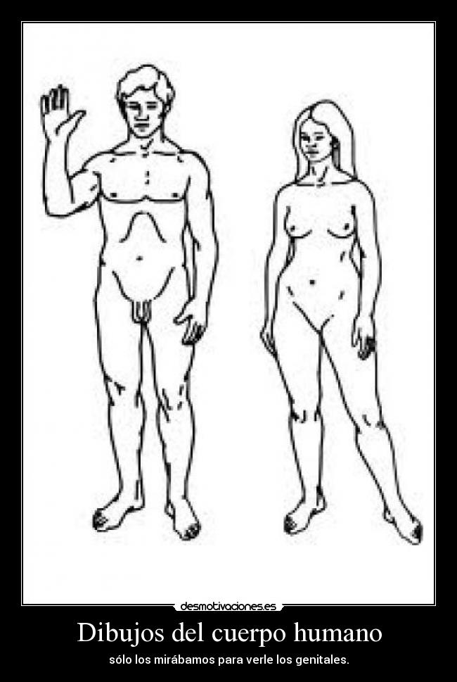 Dibujos del cuerpo humano - sólo los mirábamos para verle los genitales.