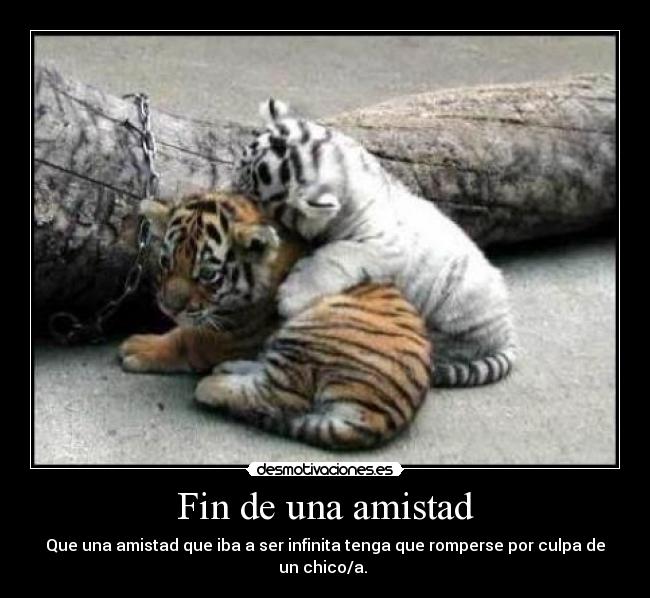 Fin de una amistad -