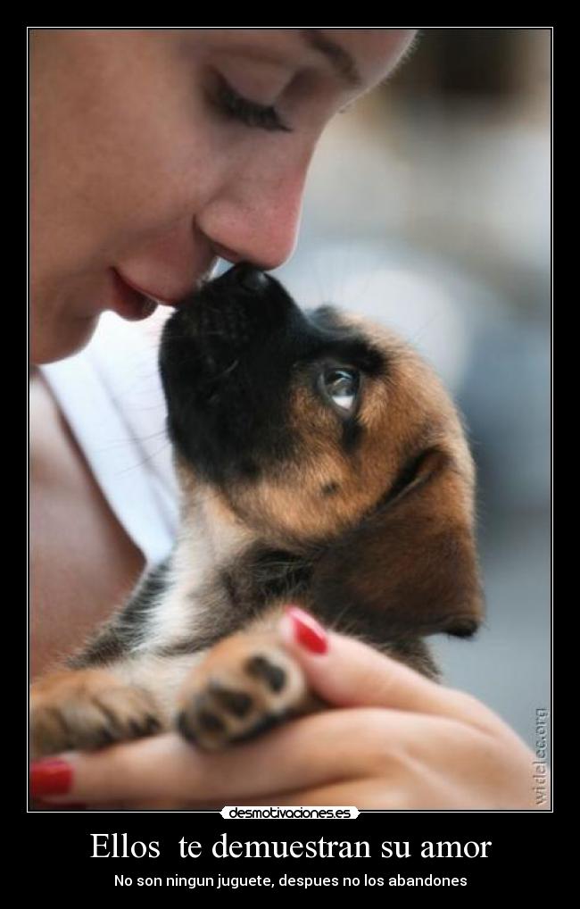 Ellos te demuestran su amor -