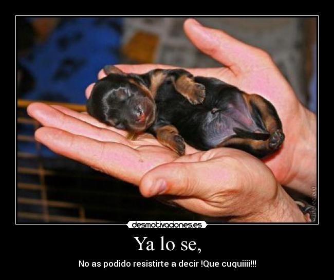 Ya lo se, - No as podido resistirte a decir !Que cuquiiii!!!