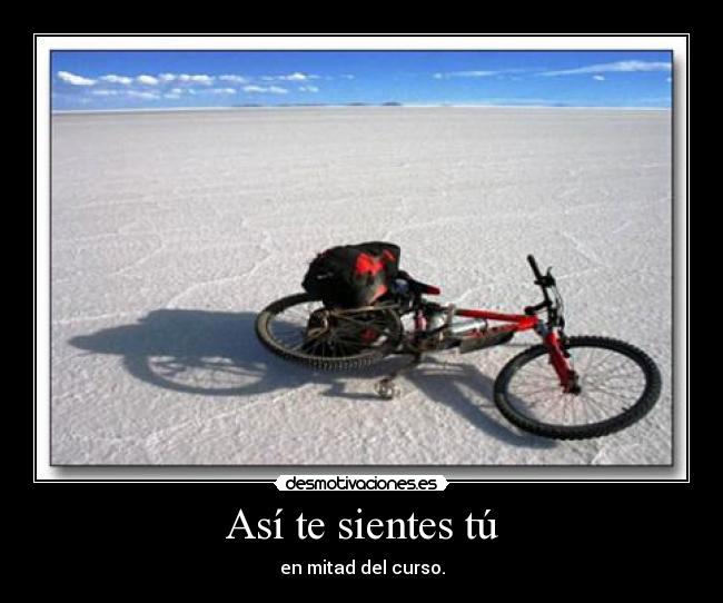 Así te sientes tú - en mitad del curso.