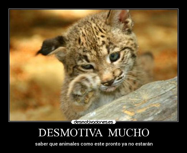 DESMOTIVA MUCHO -