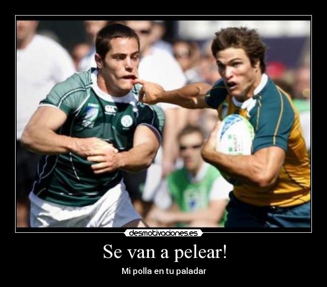 Se van a pelear! - Mi polla en tu paladar