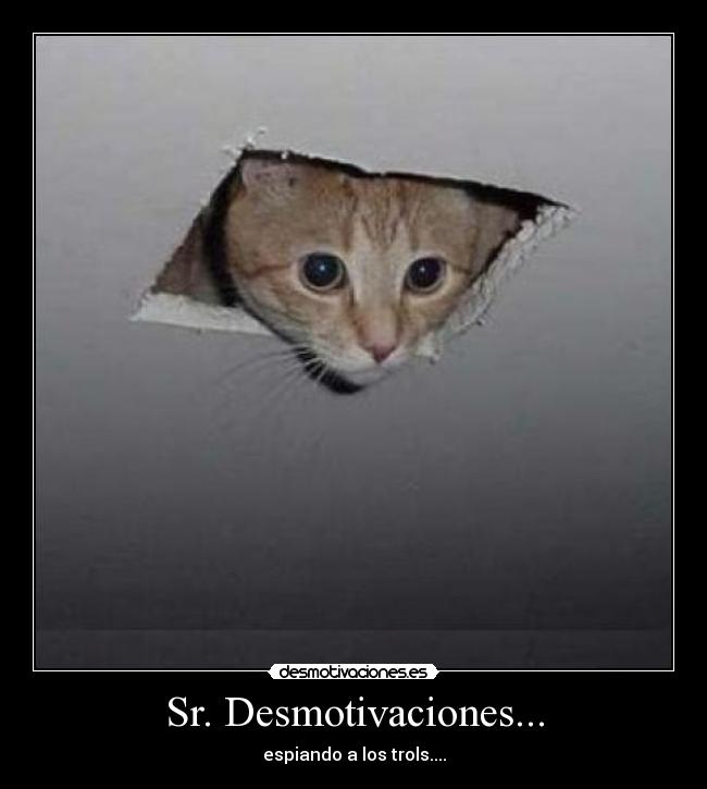 Sr. Desmotivaciones... - 