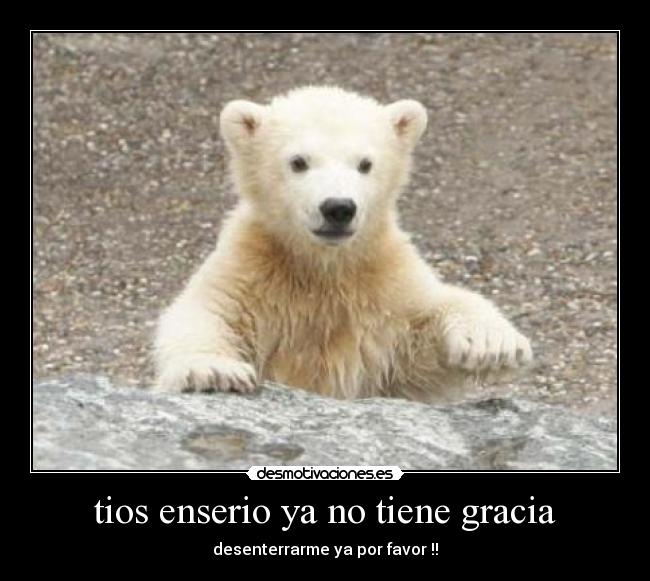 tios enserio ya no tiene gracia - desenterrarme ya por favor !!