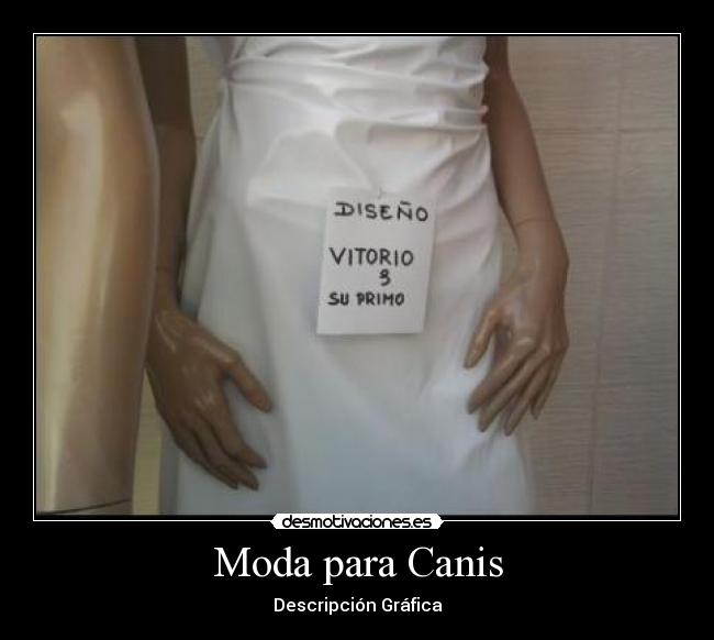 Moda para Canis - Descripción Gráfica