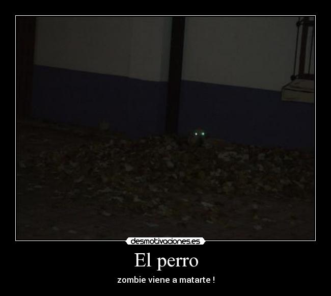 El perro -
