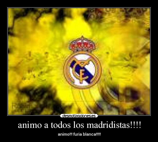 animo a todos los madridistas!!!! - animo!!! furia blanca!!!!!