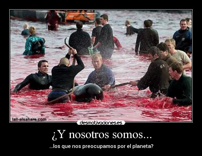 ¿Y nosotros somos... -