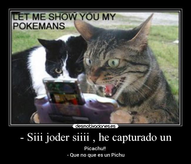 - Siii joder siiii , he capturado un - Picachu!!
- Que no que es un Pichu