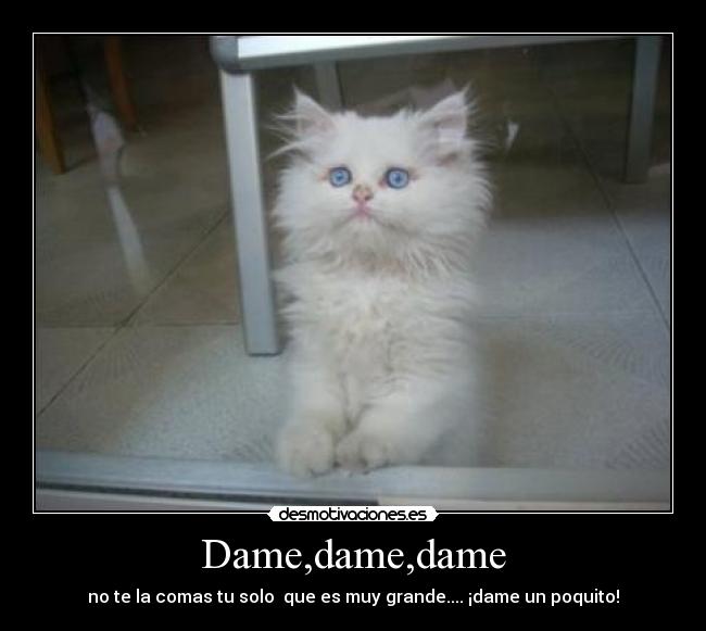 Dame,dame,dame - no te la comas tu solo que es muy grande.... ¡dame un poquito!