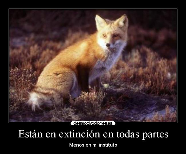 Están en extinción en todas partes - 