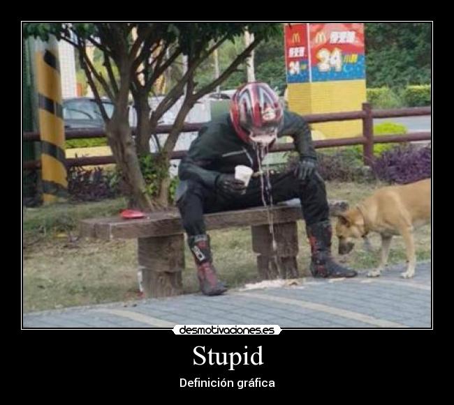 Stupid - Definición gráfica