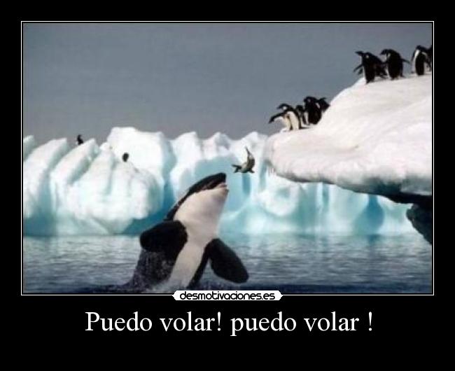 Puedo volar! puedo volar ! - 