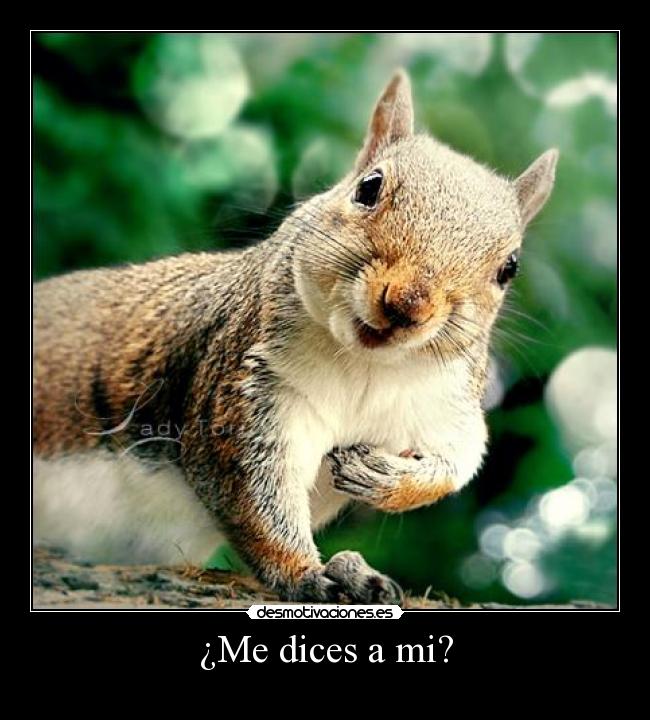 ¿Me dices a mi? - 