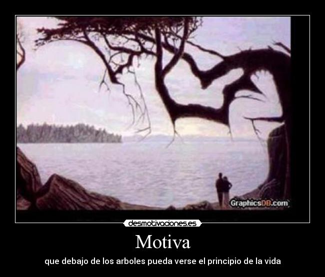 Motiva - que debajo de los arboles pueda verse el principio de la vida