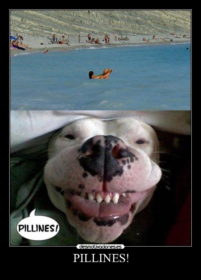 PILLINES! -