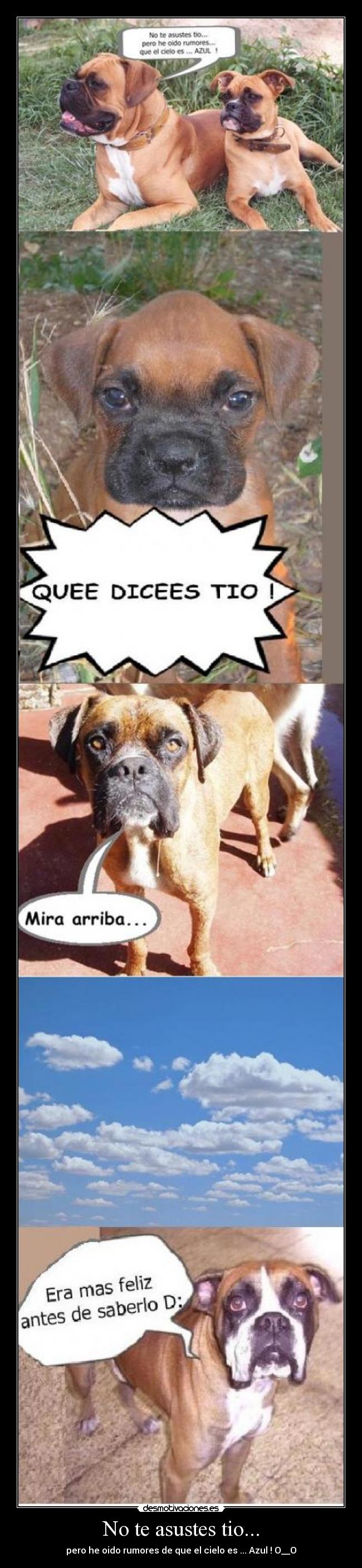 No te asustes tio... - 