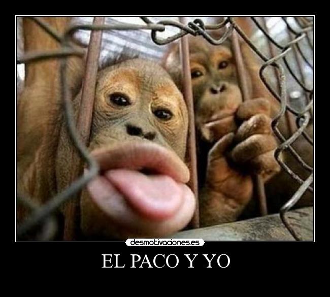 EL PACO Y YO -