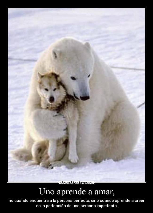 Uno aprende a amar, -