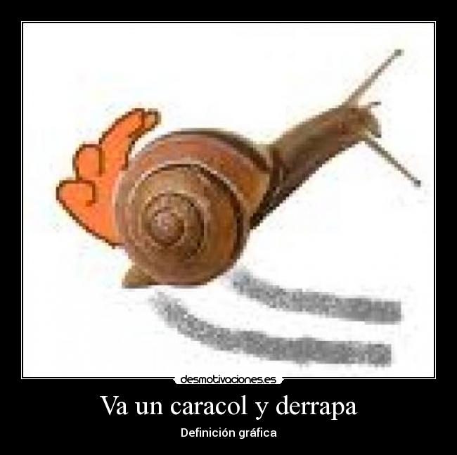 Va un caracol y derrapa - 