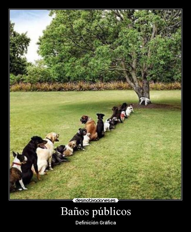 Baños públicos - Definición Gráfica