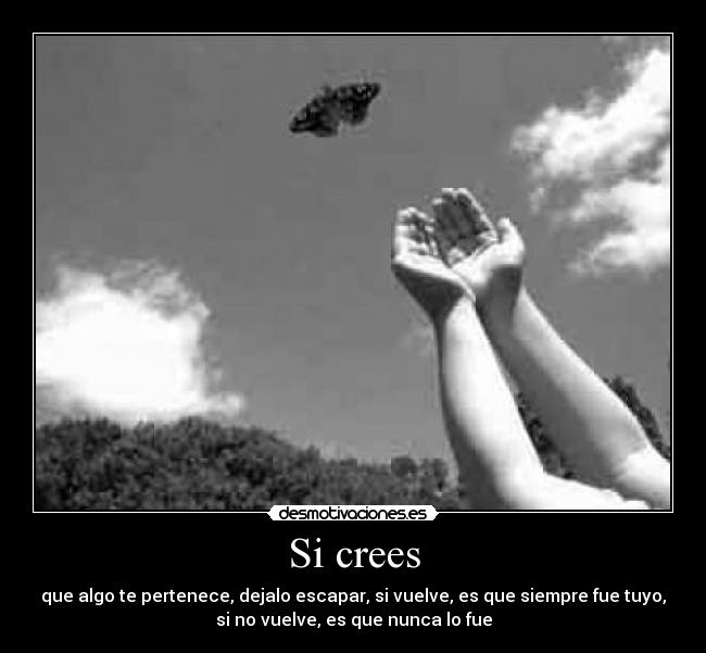 Si crees - que algo te pertenece, dejalo escapar, si vuelve, es que siempre fue tuyo,
si no vuelve, es que nunca lo fue