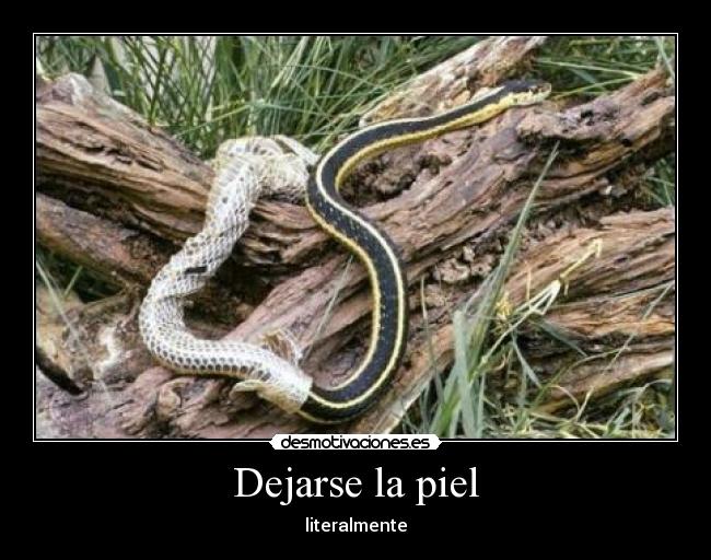 Dejarse la piel - 