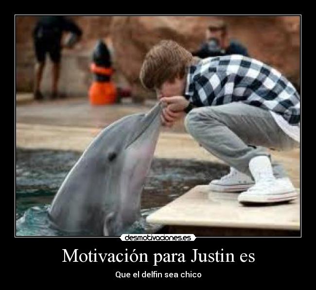 Motivación para Justin es - Que el delfin sea chico