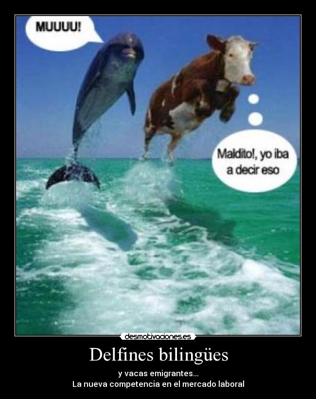 Delfines bilingües - y vacas emigrantes...
La nueva competencia en el mercado laboral