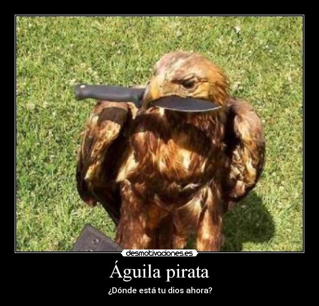 Águila pirata - ¿Dónde está tu dios ahora?