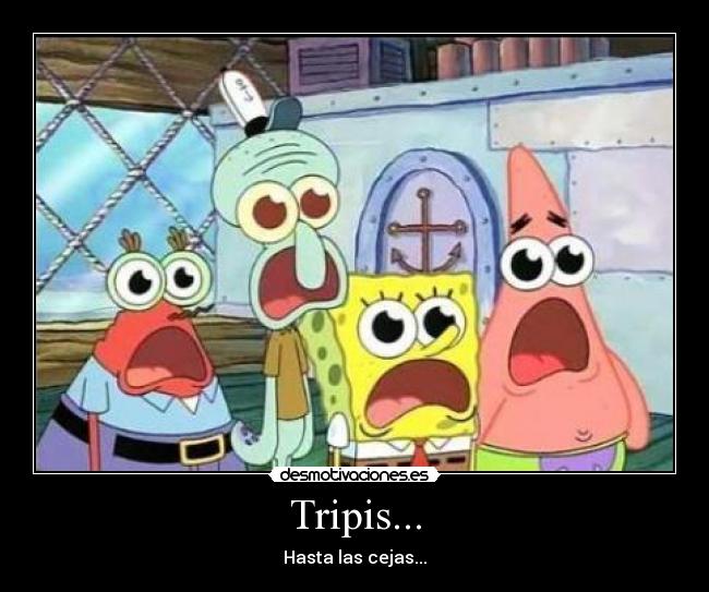 Tripis... - Hasta las cejas...