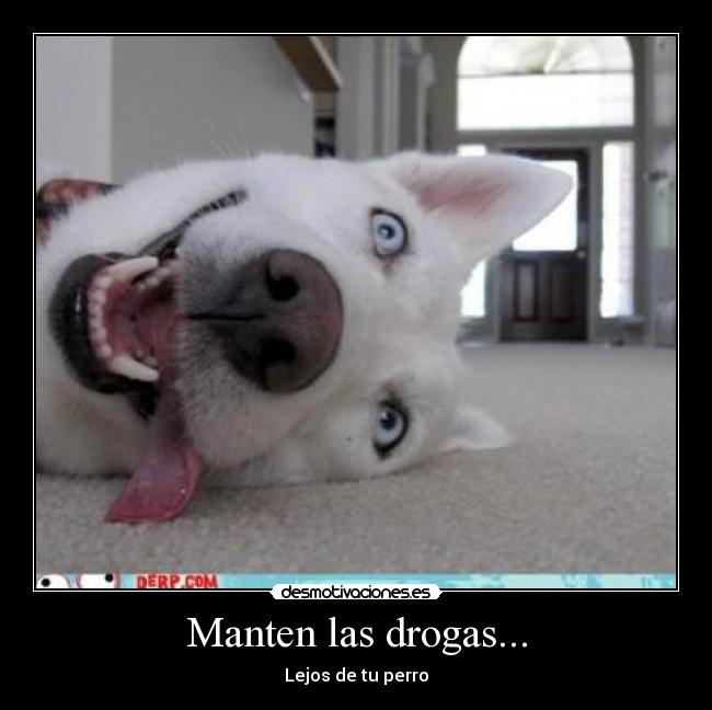 Manten las drogas... -