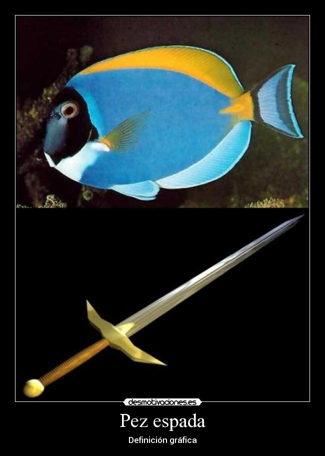 Pez espada -