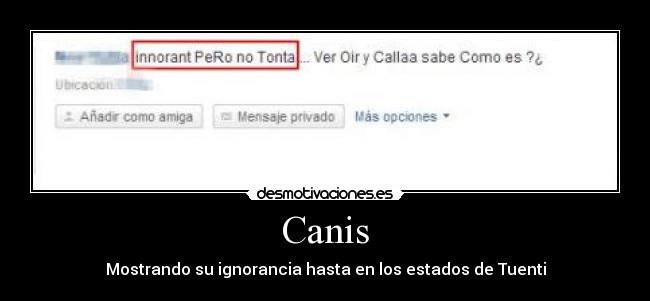 Canis - 