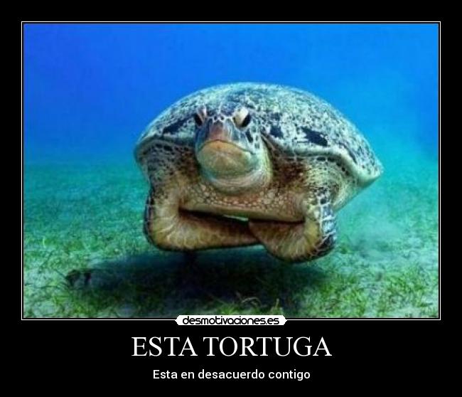 ESTA TORTUGA -