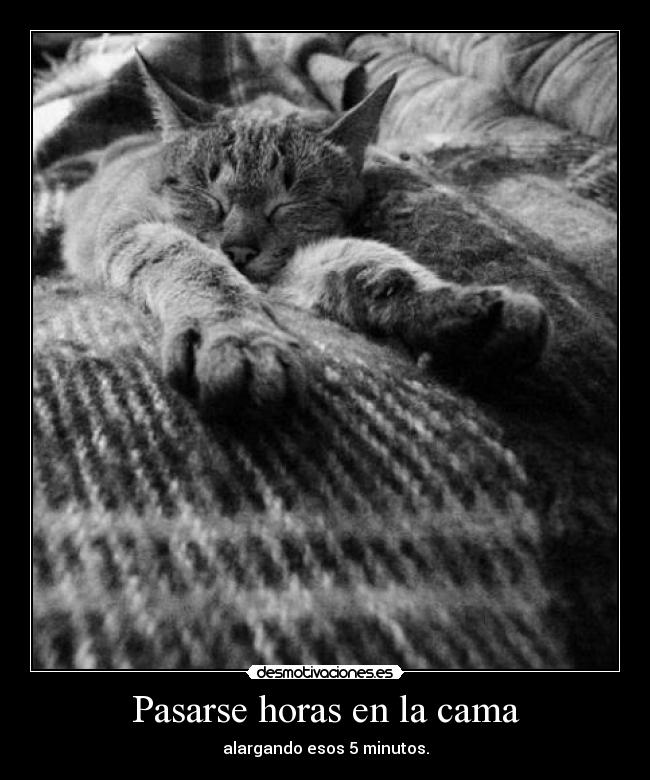 Pasarse horas en la cama - alargando esos 5 minutos.