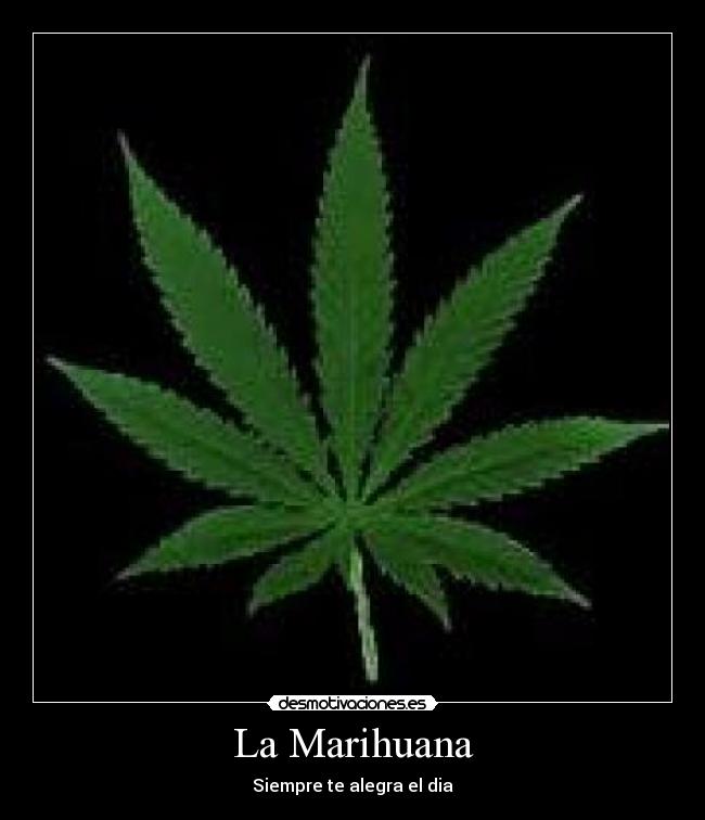 La Marihuana - Siempre te alegra el dia