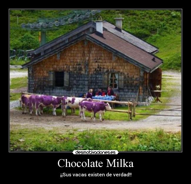 Chocolate Milka - 