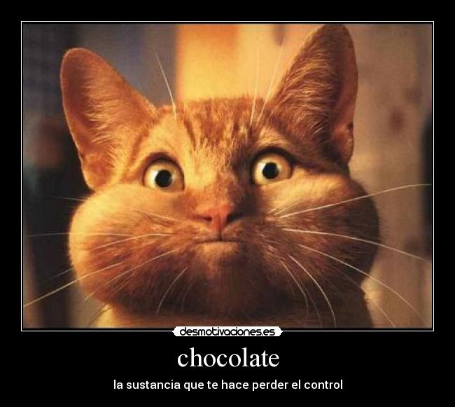 carteles chocolate desmotivaciones