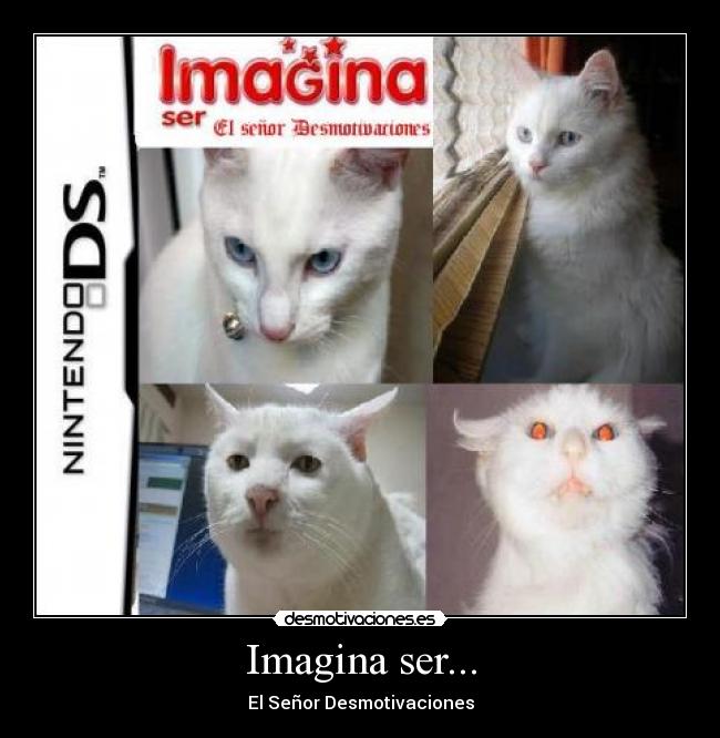 Imagina ser... - El Señor Desmotivaciones