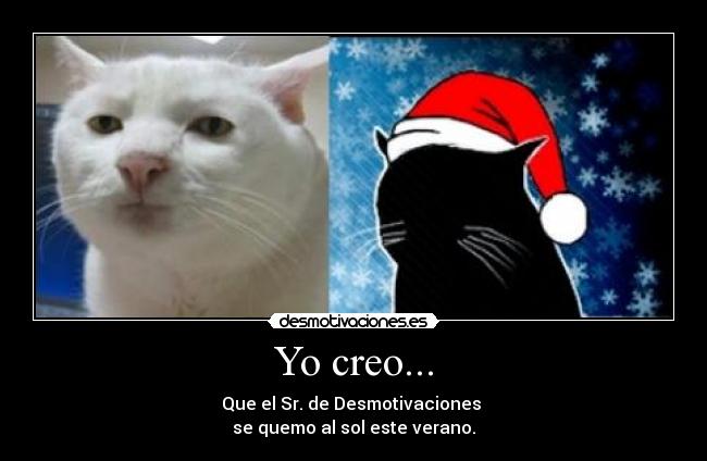 Yo creo... -