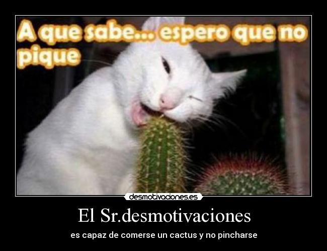 El Sr.desmotivaciones - 