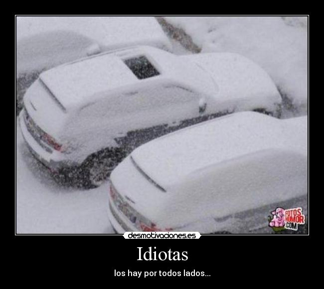 Idiotas - los hay por todos lados...