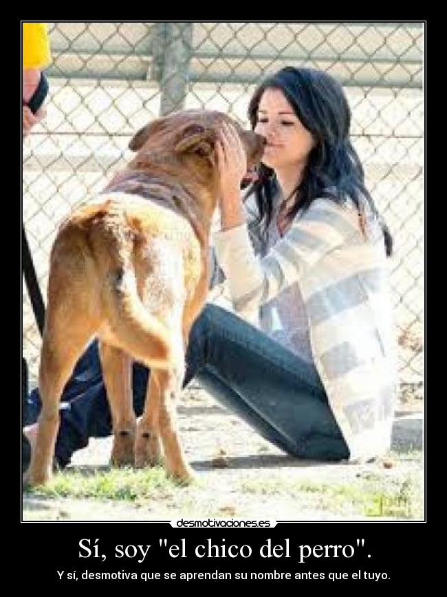 Sí, soy el chico del perro. - 