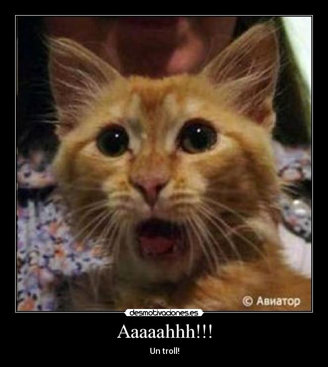 Aaaaahhh!!! - 