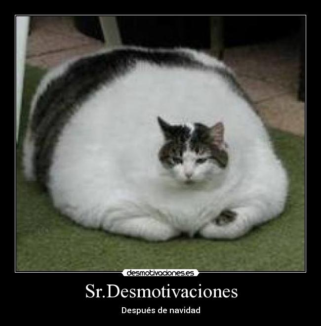 Sr.Desmotivaciones - Después de navidad