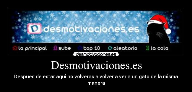 Desmotivaciones.es - Despues de estar aqui no volveras a volver a ver a un gato de la misma manera