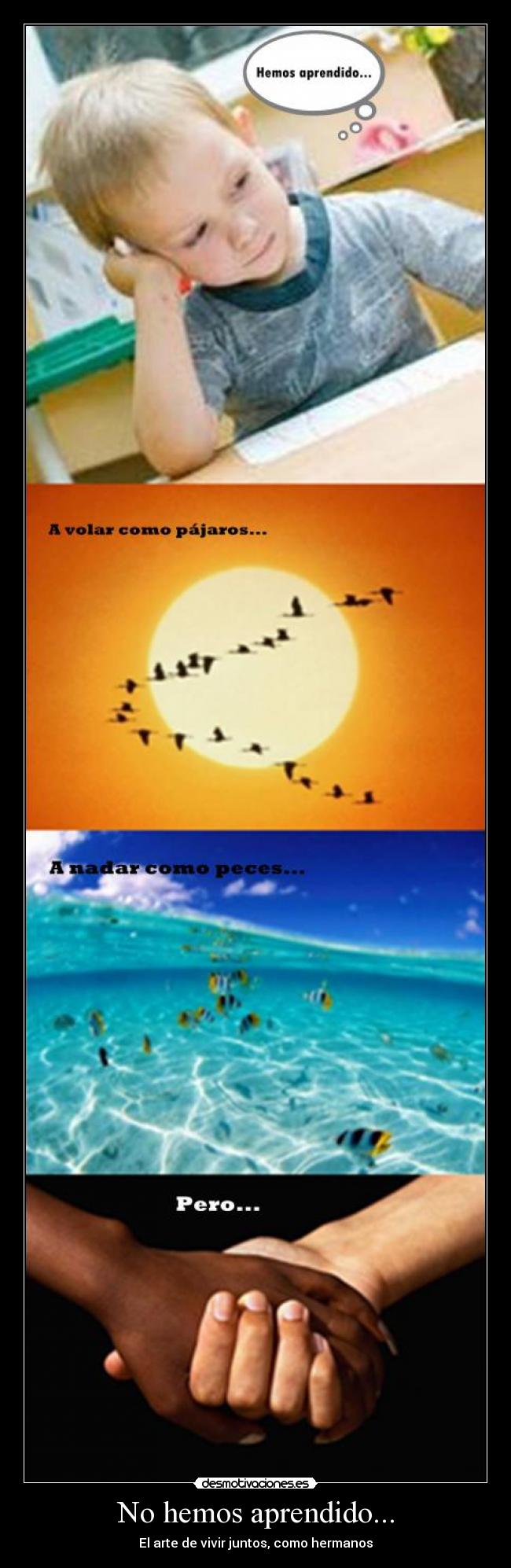 No hemos aprendido... - El arte de vivir juntos, como hermanos