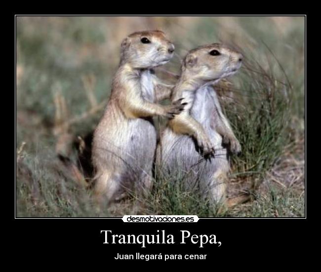 Tranquila Pepa, - 